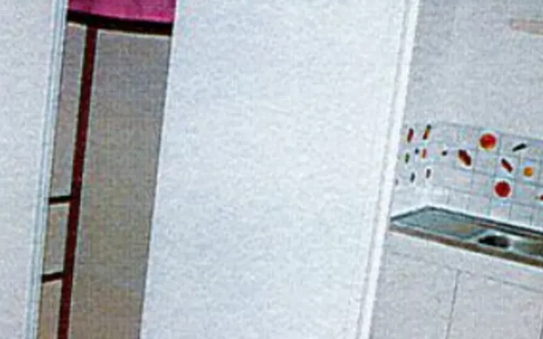 Rpa Octave Landry - photo 2