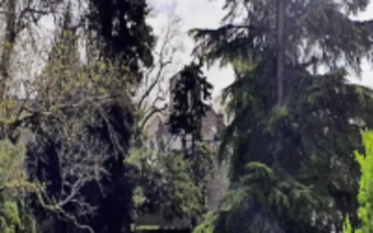 Rpa Paul Vincent - photo 4