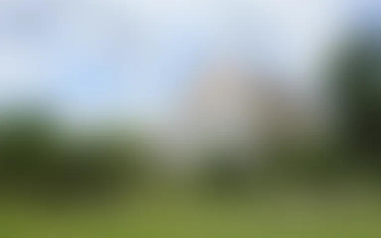 Maison de Famille de Bourgogne - photo 4