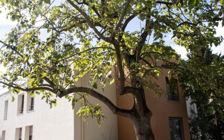 Le Prieuré - photo 7