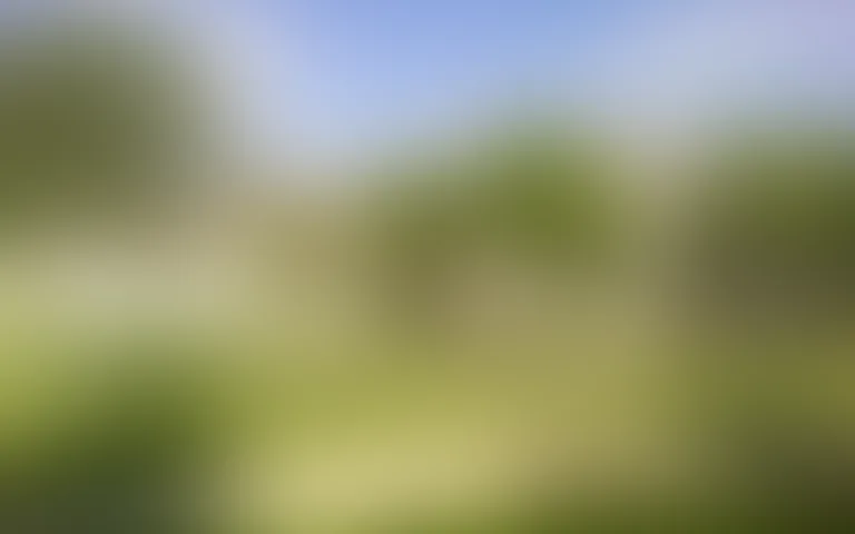 Résidence les Vignes - photo 2