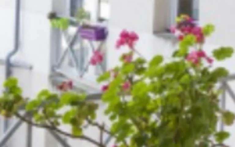 Foyer-Logement Résidence Soleil d'Or - photo 2