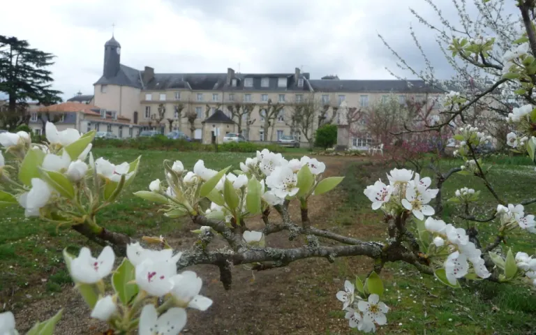 EHPAD Grand'maison des Sacrés-Coeurs - photo 2
