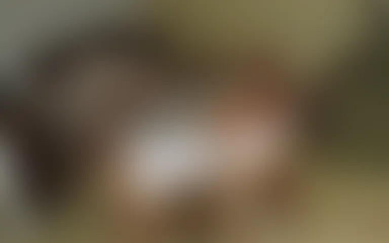 Résidence du Prieuré - photo 2