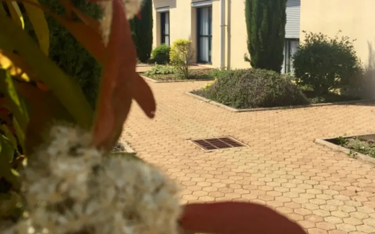 Résidence les Cèdres de Paron - photo 3