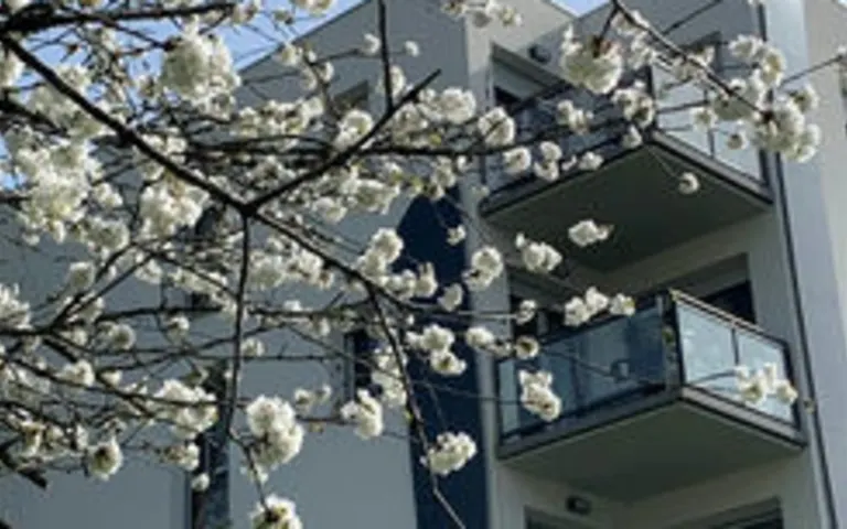 Residence Billere - Oh Activ - photo 7