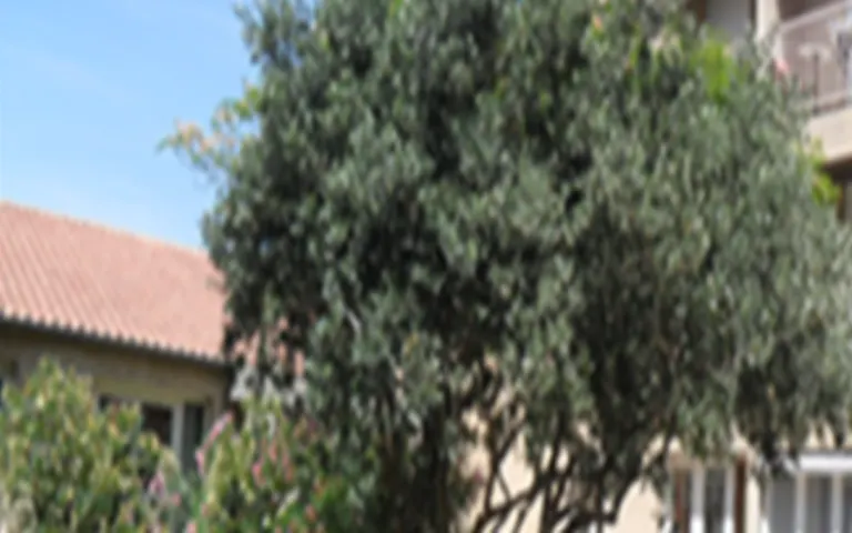 Résidence : Foyer-Logement le Clos de la Jarretiere