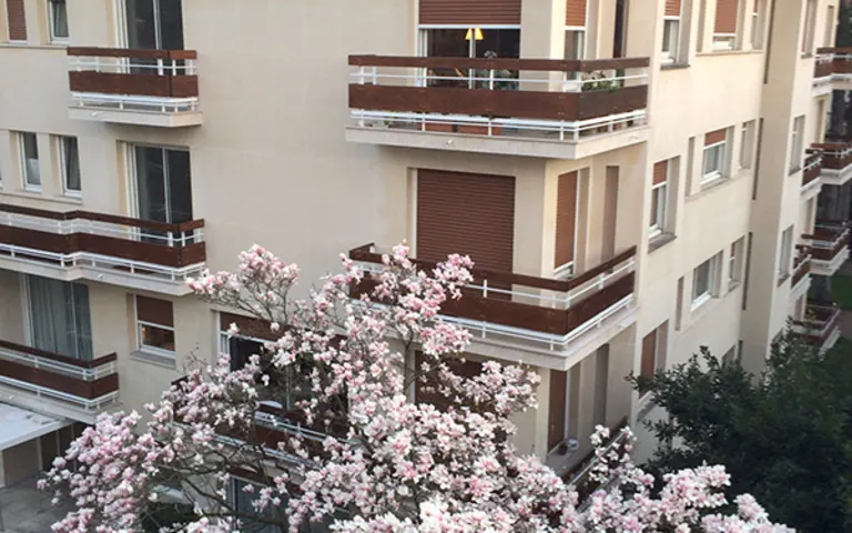 Residence Autonomie les Pins - photo 4
