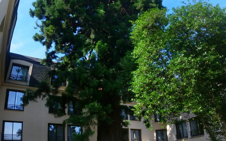 Residence le Sequoia - photo 5