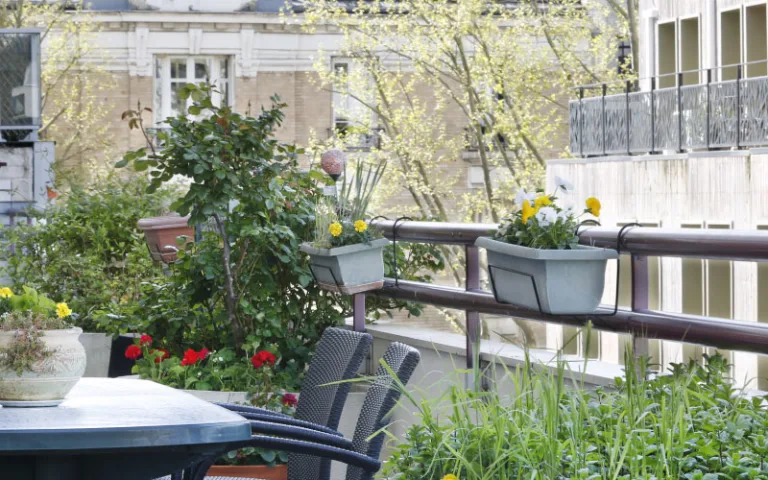 Residence Sainte Lucie - photo 8