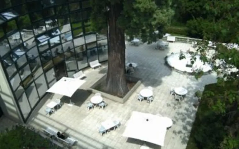 Korian les Tybilles - photo 12