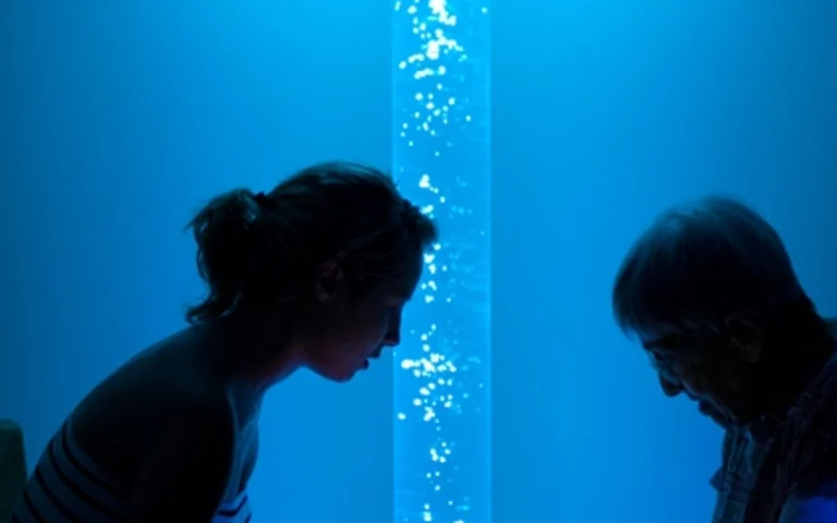 EHPAD la Maison des Lumières - photo 4