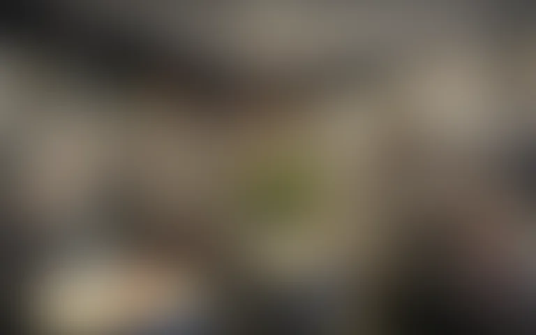 Résidence les Pins - photo 2