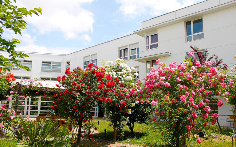 La Maison du Saule Cendré - photo 5