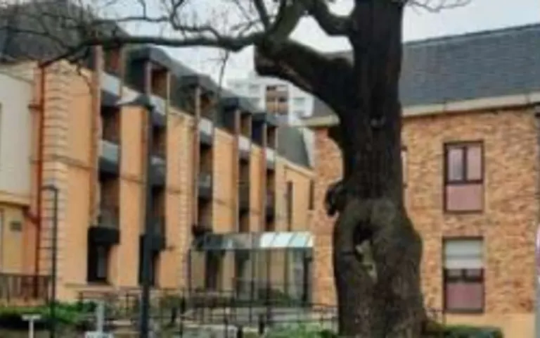 EHPAD à Gentilly (94250)