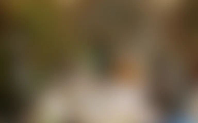 EHPAD du Breuil - photo 2