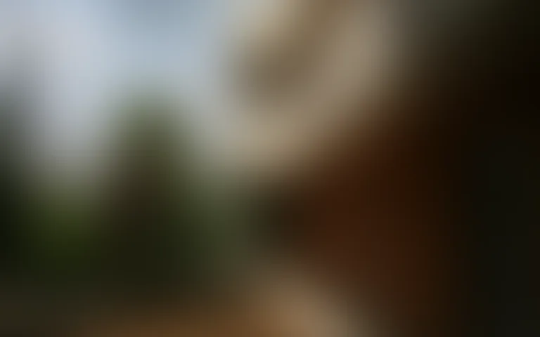 EHPAD le Bois Joli - photo 4