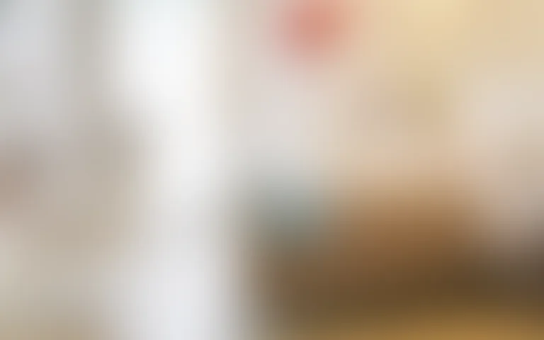 Les Hautes Futaies - photo 5