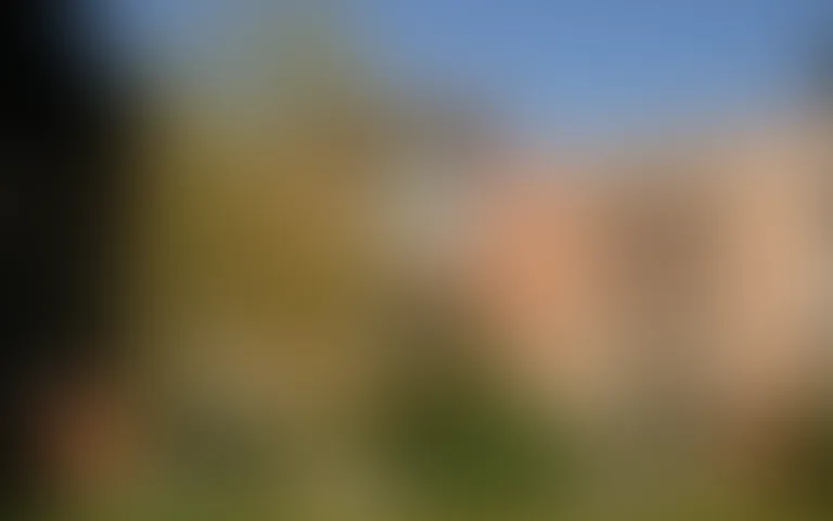 La Maison du Cèdre Bleu - photo 4
