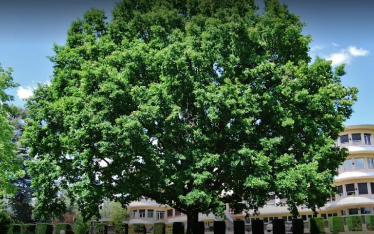 Résidence : Maison de Retraite l'Ermitage