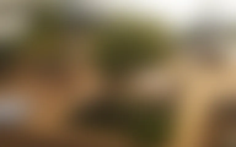 La Commanderie - photo 3