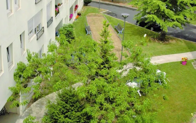 Résidence Jean Moracchini - photo 2