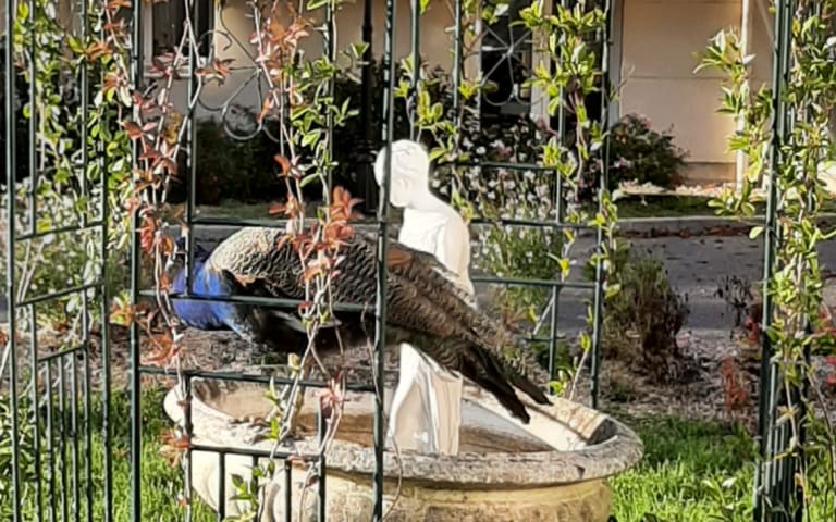 Le Grand Clos - photo 6