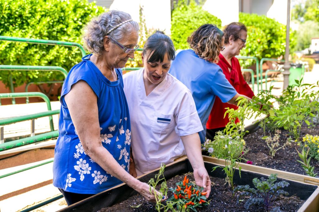 Jardinage thérapeutique et salles Snoezelen ce que disent les études sur le bien-être en EHPAD