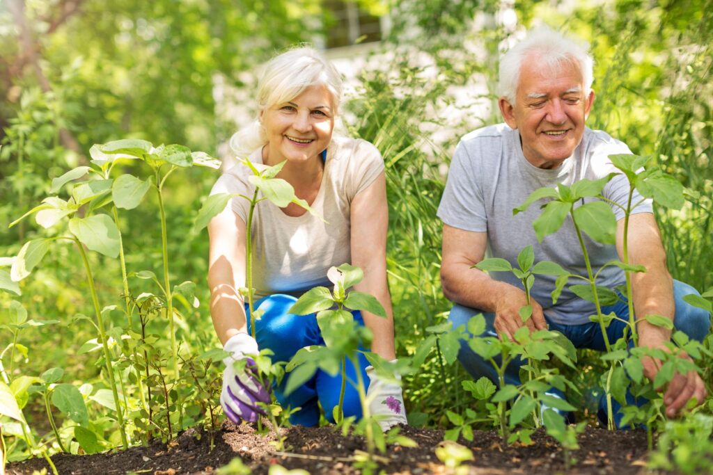 bienfaits du jardinage thérapeutique pour les résidents alzheimer en ehpad