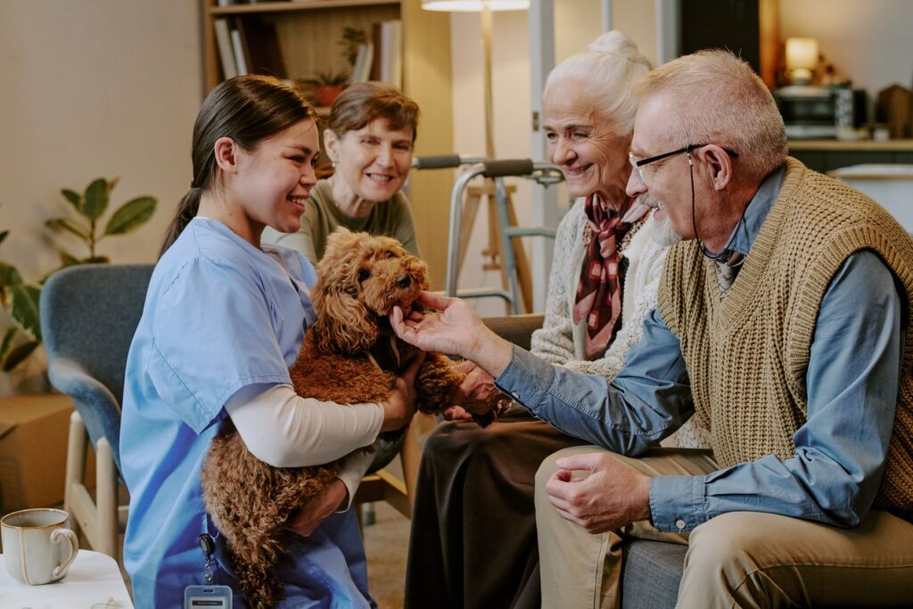 présence d'un animal de compagnie en ehpad